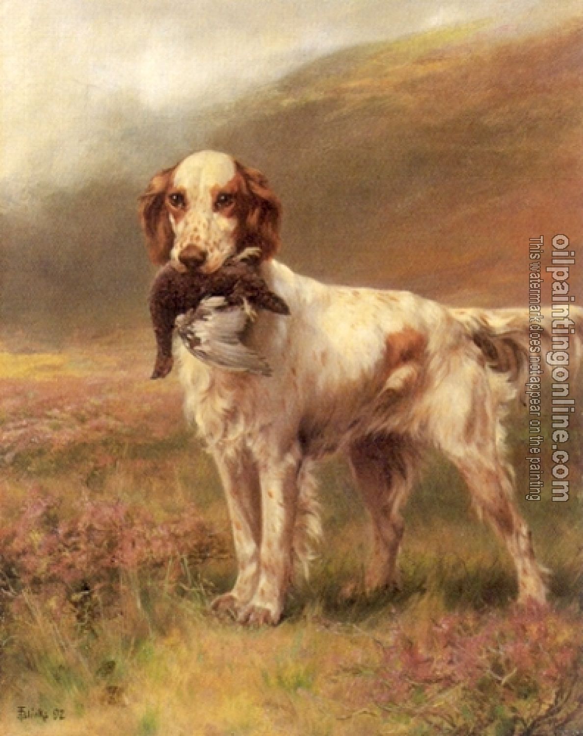 Blinks, Thomas - English Setter